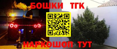 тгк Кинель