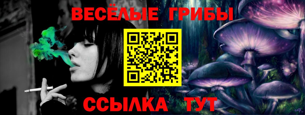 Качканар  Псилоцибиновые грибы Psilocybe  Вход с VPN 